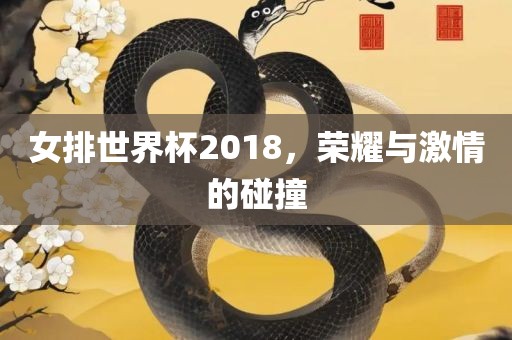 女排世界杯2018，荣耀与激情的碰撞