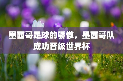 墨西哥足球的骄傲，墨西哥队成功晋级世界杯眉山市正发家政服务有限公司