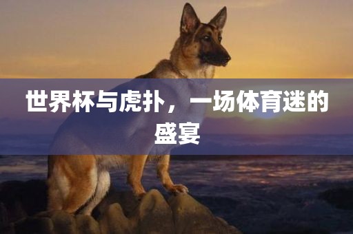 世界杯与虎扑，一场体育迷的盛宴眉山市正发家政服务有限公司