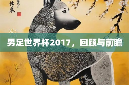 男足世界杯2眉山市正发家政服务有限公司017，回顾与前瞻