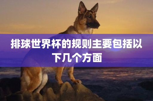排球世界杯的规则主要包括以下几个方面眉山市正发家政服务有限公司