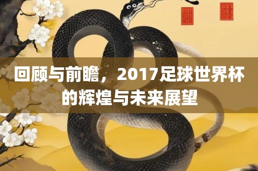 回顾与前瞻，2017足球世界杯的辉煌与未来展望