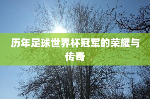 历年足球世界杯冠军的荣耀与传奇