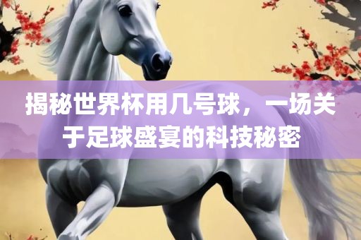 揭秘世界杯用几号球，一场关于足球盛宴的科技秘密