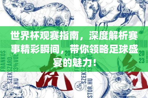 世界杯观赛指南，深度解析赛事精彩瞬间，带你领略足球盛宴的魅力！眉山市正发家政服务有限公司