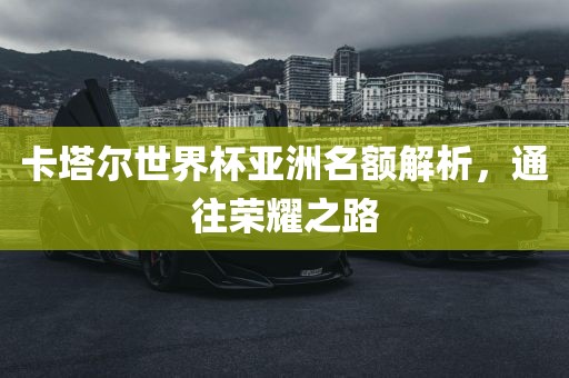 卡塔尔世界杯亚洲名额解析，通往眉山市正发家政服务有限公司荣耀之路