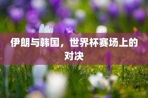 伊朗与韩国，世界杯赛场上的对决
