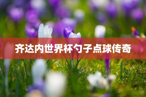 齐达眉山市正发家政服务有限公司内世界杯勺子点球传奇
