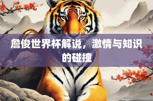 詹俊世界杯解说，激情与知识的碰撞眉山市正发家政服务有限公司
