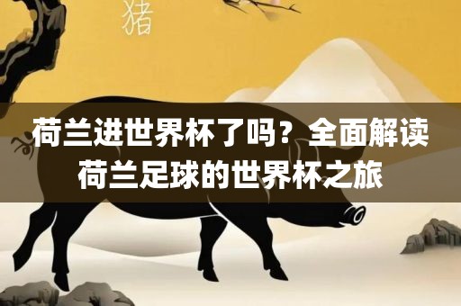 荷兰进世界杯了吗？全面解读荷兰足球的世界杯之旅