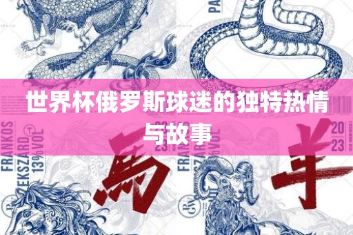 世界杯俄罗斯球迷的独特热情与故事眉山市正发家政服务有限公司