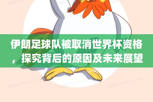 伊朗足球队被取消世界杯资格，探究背后的原因及未来展望眉山市正发家政服务有限公司