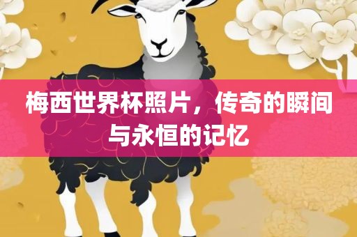 梅西世界杯照片，传奇的瞬间与永恒的记忆眉山市正发家政服务有限公司