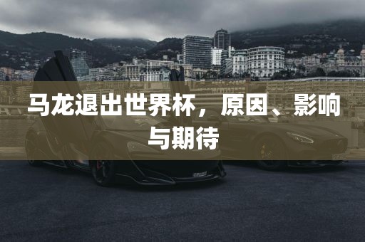 马龙退出世界杯，原因、影响与期待眉山市正发家政服务有限公司