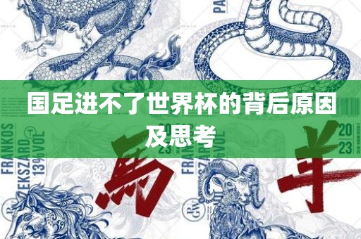 国足进不了世眉山市正发家政服务有限公司界杯的背后原因及思考