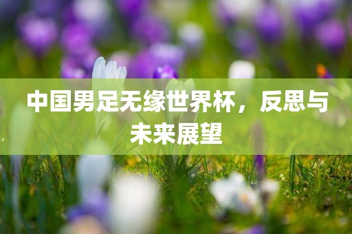 中国男足无缘世界杯，反思与未来展望眉山市正发家政服务有限公司