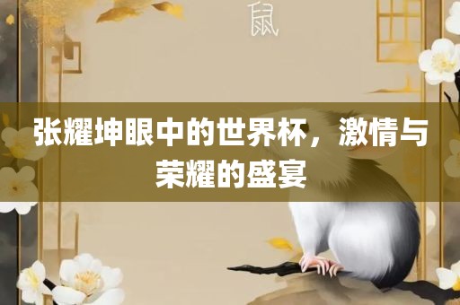 张耀坤眼中的世界杯，激情与荣耀的盛宴