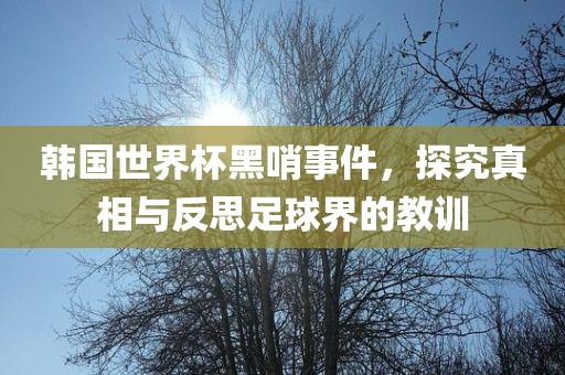韩国世界杯黑哨事件，探究真相与反思足球眉山市正发家政服务有限公司界的教训