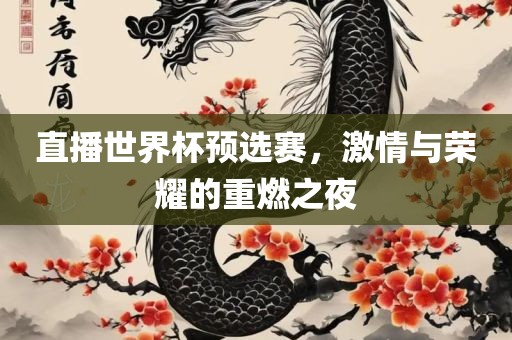 直播世界杯预选赛，激情与荣耀的重燃之夜