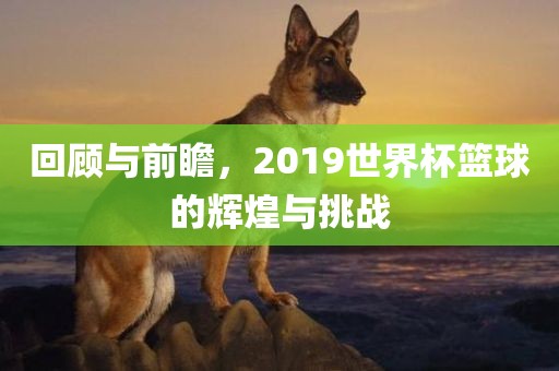 回顾与前瞻，2019世界杯篮球的辉煌与挑战
