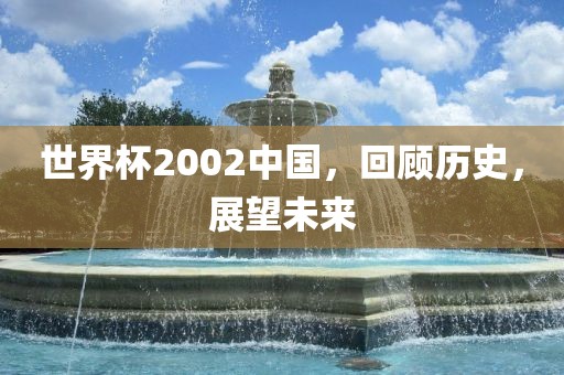 世界杯2002中国，回顾历史，展望未来