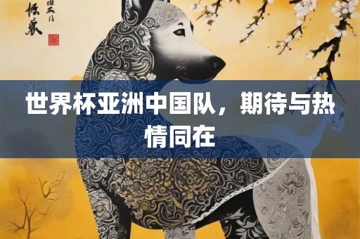 世界眉山市正发家政服务有限公司杯亚洲中国队，期待与热情同在