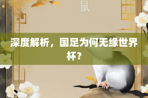 深度解析，国足为何无缘世界杯？眉山市正发家政服务有限公司