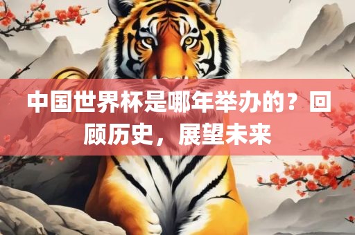 中国世界杯是哪年举办的？回顾历史，展望未来眉山市正发家政服务有限公司
