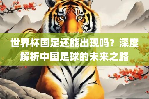 世界杯国足还能出现吗？深度解析中国足球的未来之路