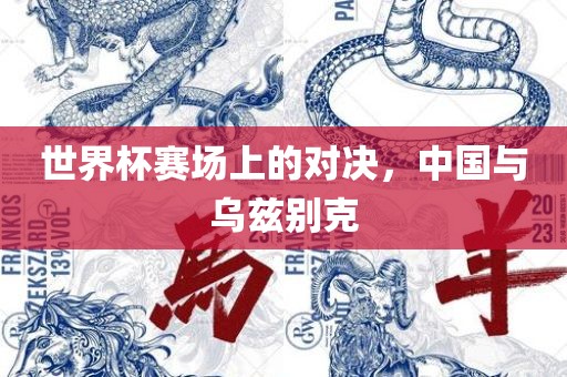 世界杯赛场上的对决，中国与乌兹别克