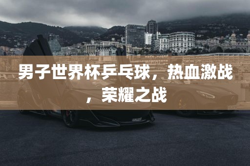 男子世界杯乒乓球，热血激战，荣耀之战眉山市正发家政服务有限公司
