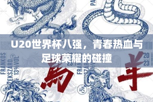 U20世界杯八强，青春热血与足球荣耀的碰撞
