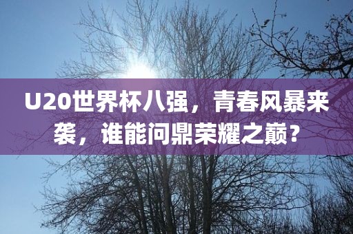 U20世界杯八强，青春风暴来袭，谁能问鼎荣耀之巅？