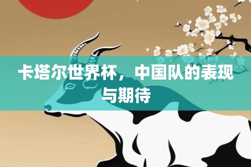 卡塔尔世界杯，中国队的表现与期待