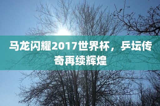 马龙闪耀2017世界杯，乒坛传奇再续辉煌眉山市正发家政服务有限公司