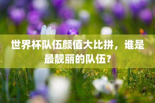世界杯队伍颜值大比拼，谁是最靓丽的队伍？眉山市正发家政服务有限公司