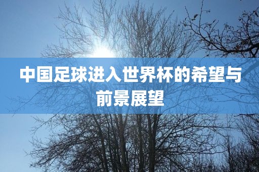 中国足球进入世界杯的希望与前景展望眉山市正发家政服务有限公司