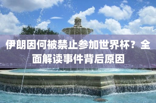 伊朗因何被禁止参加世界杯？全面解读事件背后原因眉山市正发家政服务有限公司