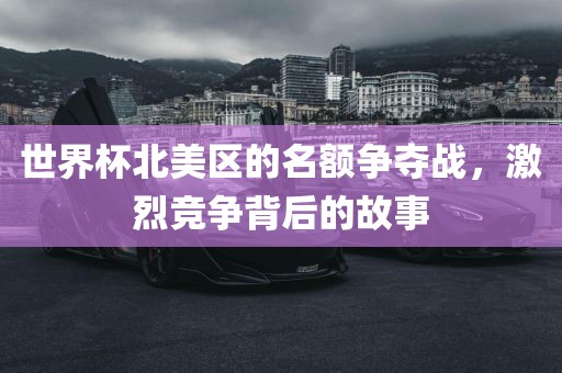 世界杯北美区的名额争夺战，激烈竞争背后的故事眉山市正发家政服务有限公司