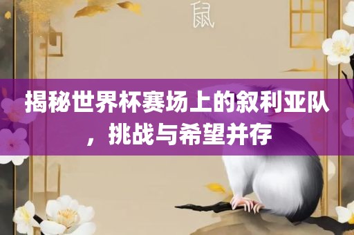揭秘世界杯赛场上的叙利亚队，挑战与希望并存