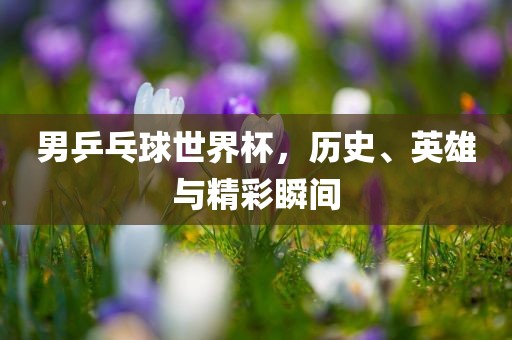 男乒乓球世界杯，历史、英雄与精彩瞬间