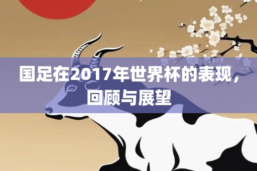 国足在2017年世界杯的表现，回顾与展望