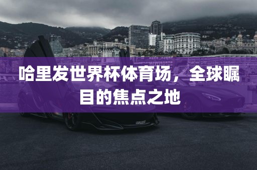 哈眉山市正发家政服务有限公司里发世界杯体育场，全球瞩目的焦点之地