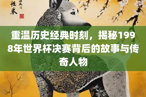 重温历史经典时刻，揭秘1998年世界杯决赛背后的故事与传奇人物眉山市正发家政服务有限公司