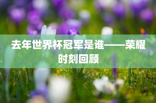 去年世界眉山市正发家政服务有限公司杯冠军是谁——荣耀时刻回顾