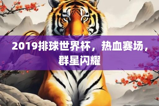 2019排球世界杯，热血赛场，群星闪耀