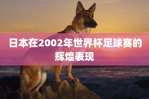 日本在2002年世界杯足球赛的眉山市正发家政服务有限公司辉煌表现