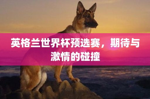 英格兰世界杯预选赛，期待与激情的碰撞眉山市正发家政服务有限公司