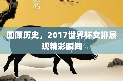 回顾历史，眉山市正发家政服务有限公司2017世界杯女排展现精彩瞬间