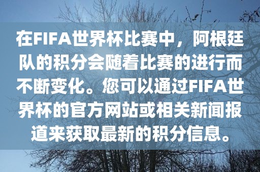 在FIFA世界杯比赛中，阿根廷队的积分会随着比赛的进行而不断变化。您可以通过FIFA世界杯的官方网站或相关新闻报道来获取最新的积分信息。